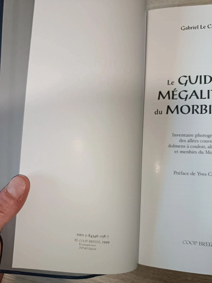 Le guide des mégalithes du Morbihan Gaby Le Cam - photo numéro 8