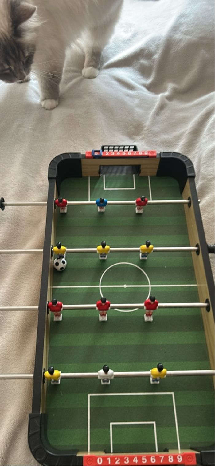 Mini baby foot - photo numéro 2