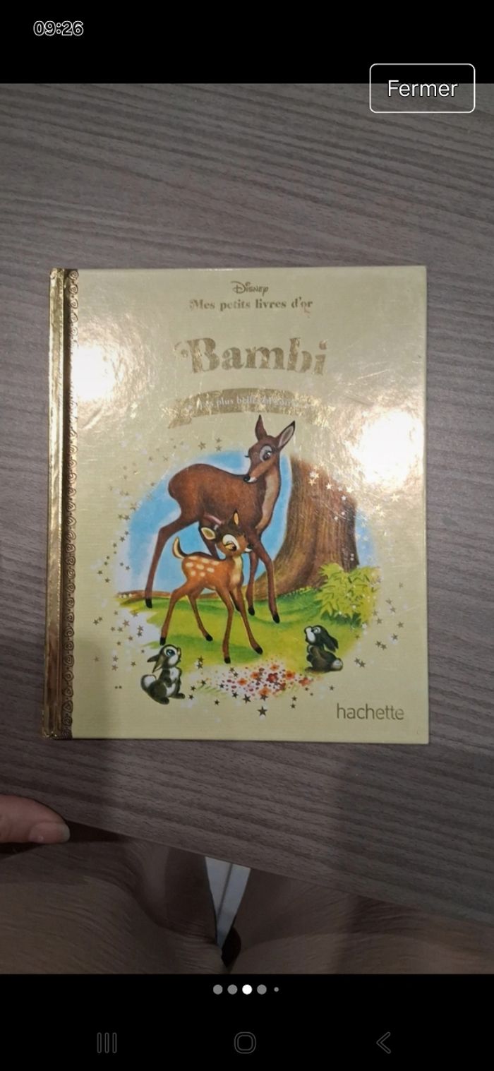 Lot 10 livres mes petits livres d'or - photo numéro 5