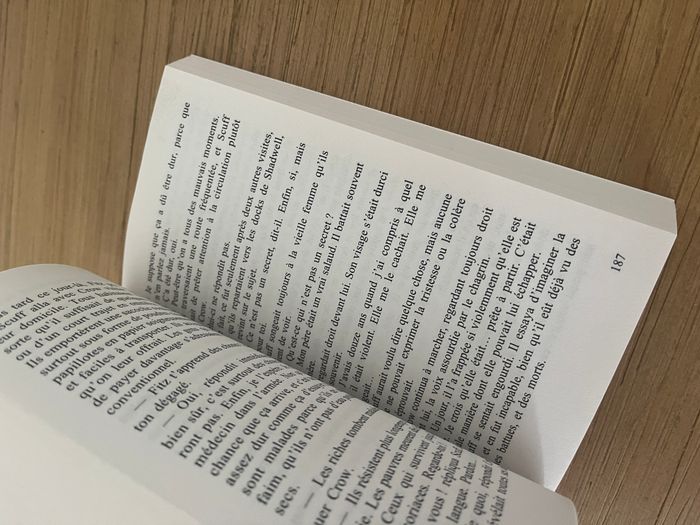 Meurtre en écho - Anne Perry - photo numéro 6