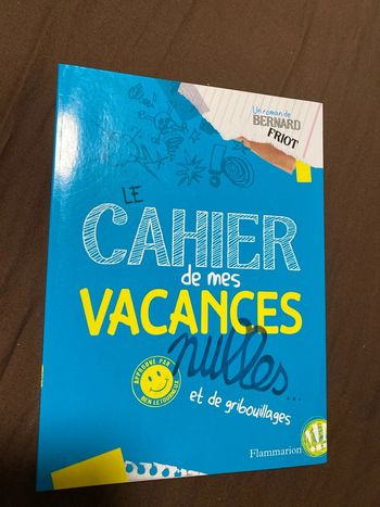Livre Le cahier de mes vacances nulles