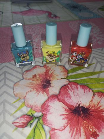 Lot de vernis