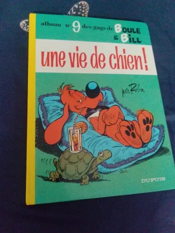 Boulle et bill une vie de chien 9