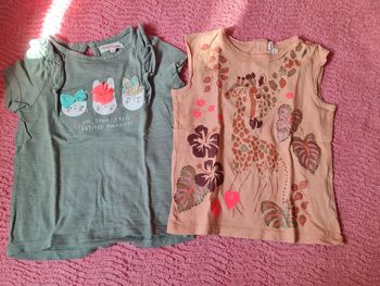 Lot de 2 tee shirts fille DPAM 2 ans