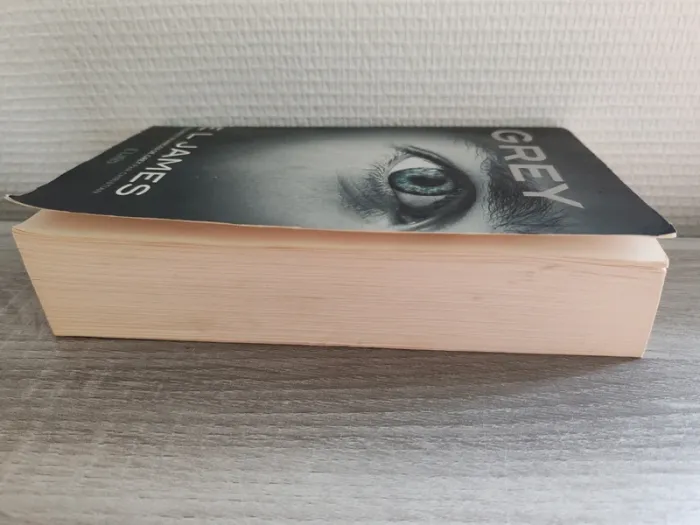 Livre grey - photo numéro 2