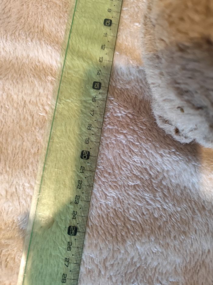 Peluche koala - photo numéro 3