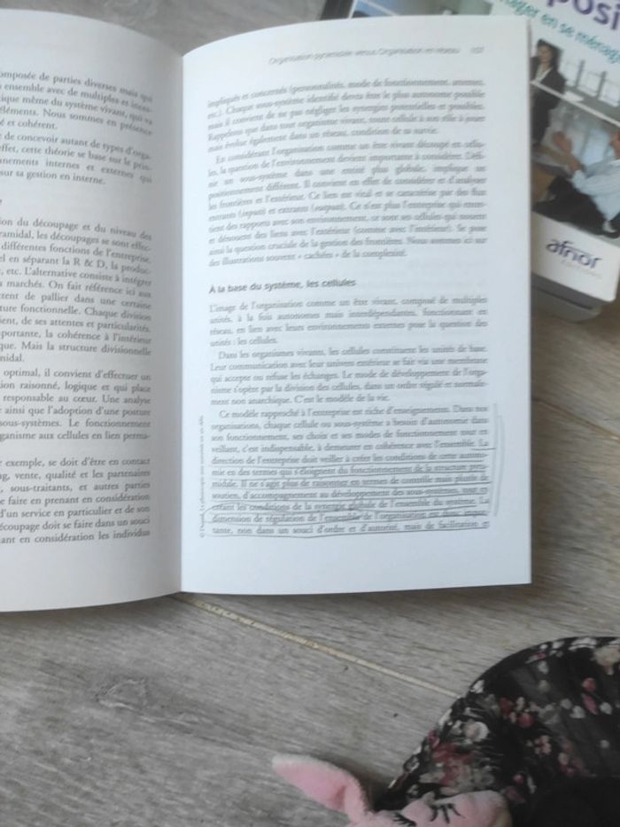 Livre stratégie et management - photo numéro 4