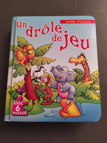 lot de 2 livres puzzles