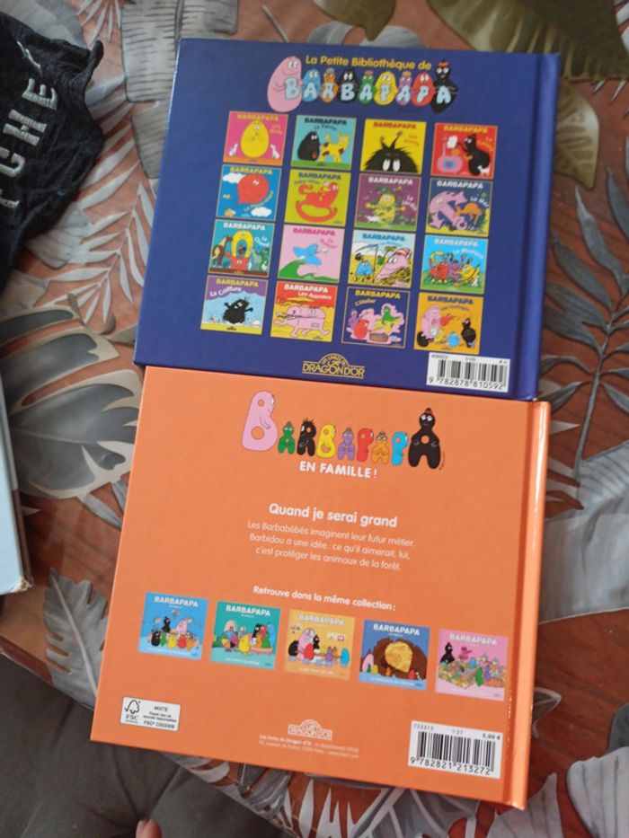 Lot de 2 livres barbapapa - photo numéro 2