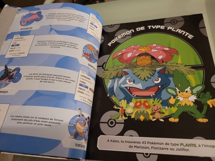 livre pokemon (5e) - photo numéro 2