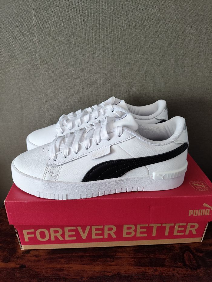 Basket puma