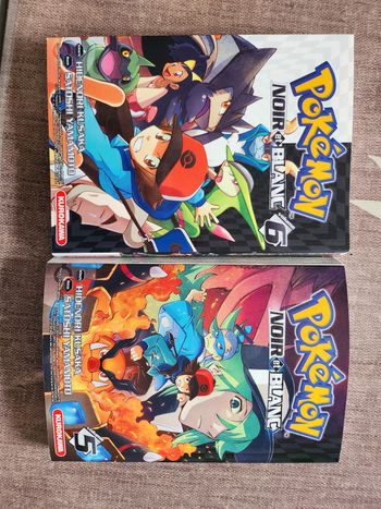 Lot de 2 mangas pokemon