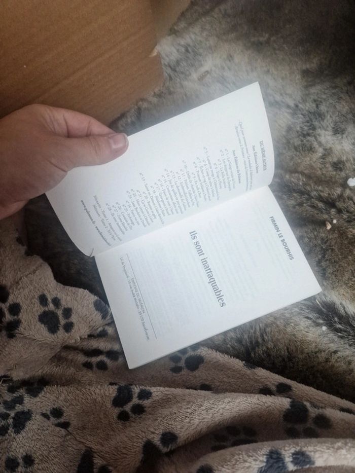 Livre palemon édition - photo numéro 7