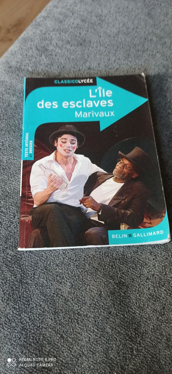 Livre l île Des esclaves