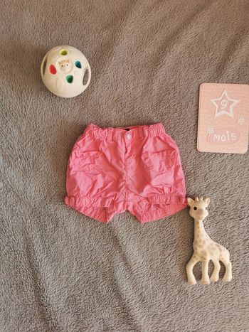 Short rose In extenso 9 mois