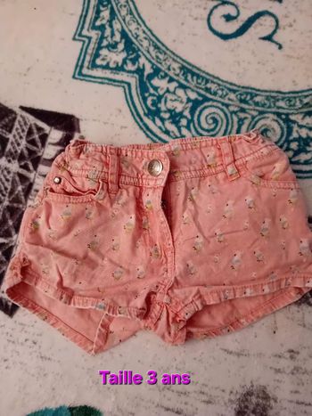 Short orange perroquets en 3 ans Orchestra