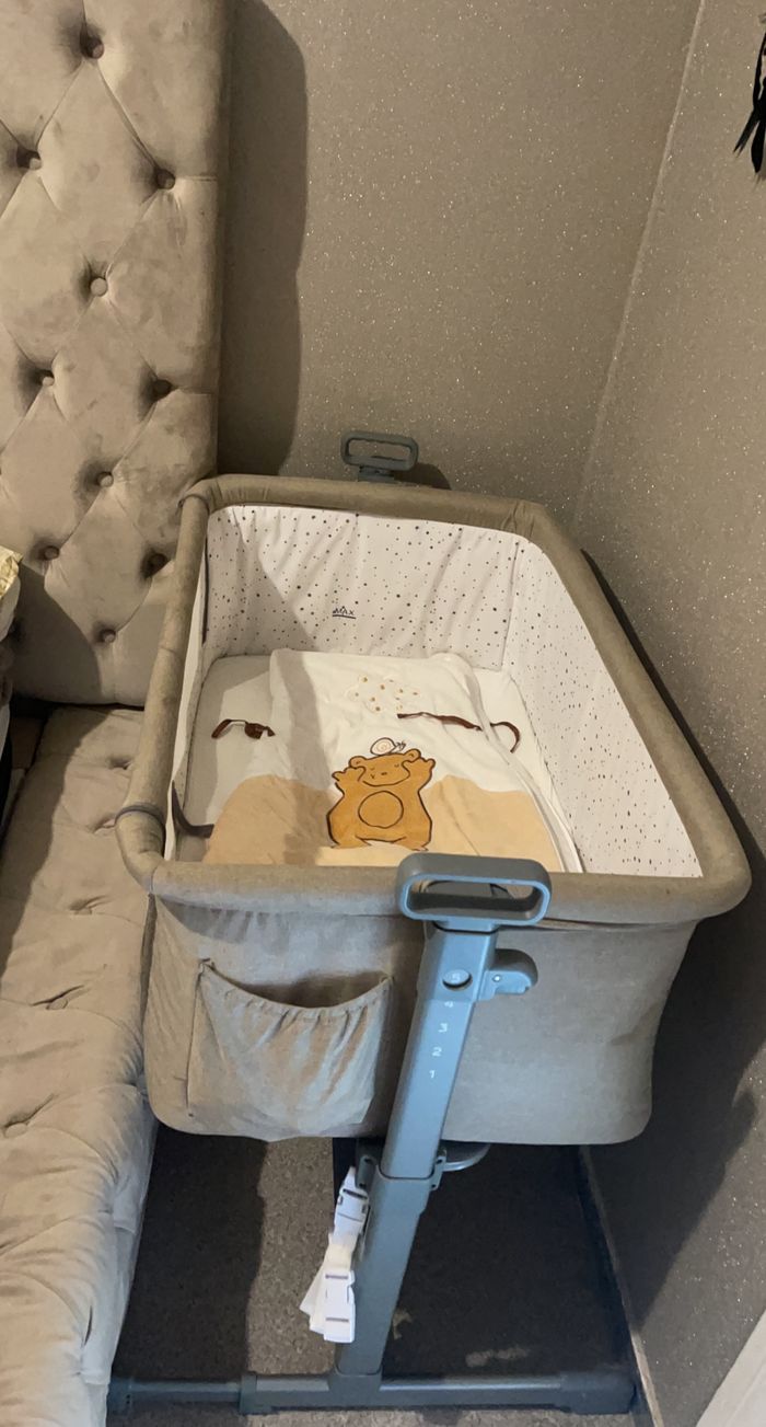 Cododo - photo numéro 3