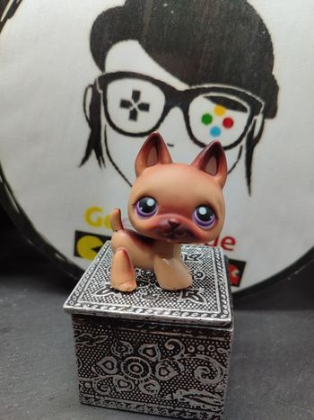 Lps01216 My Littlest Petshop LPS Dog chien berger allemand german shepherd 375 