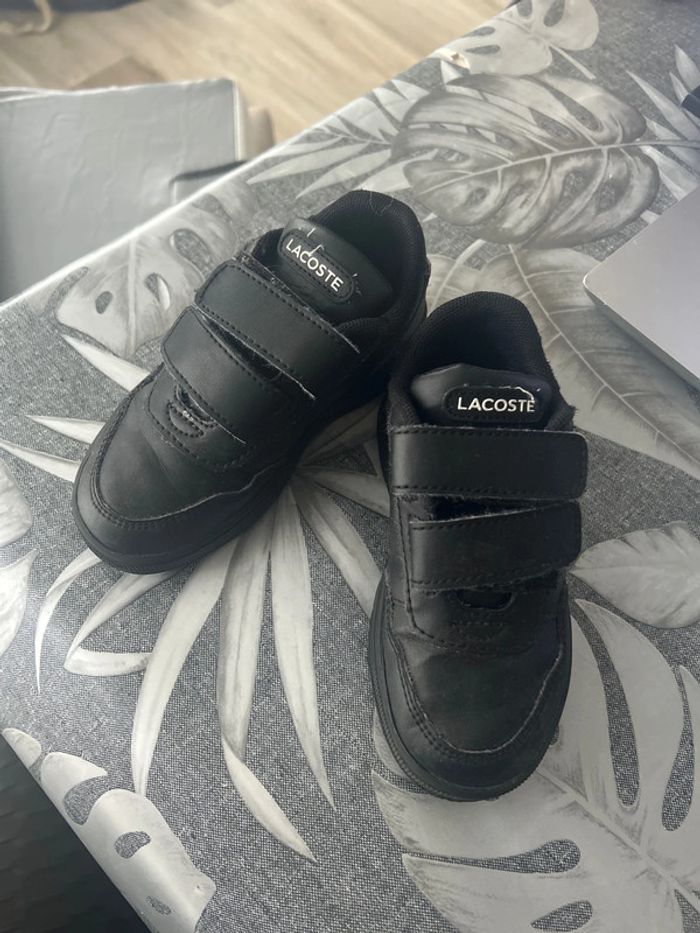 Basket Lacoste