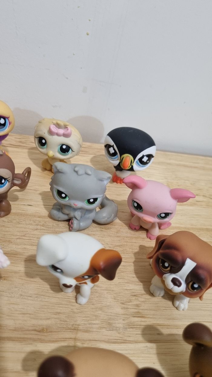 Lot de 22 petshops Hasbro + accessoires - photo numéro 7