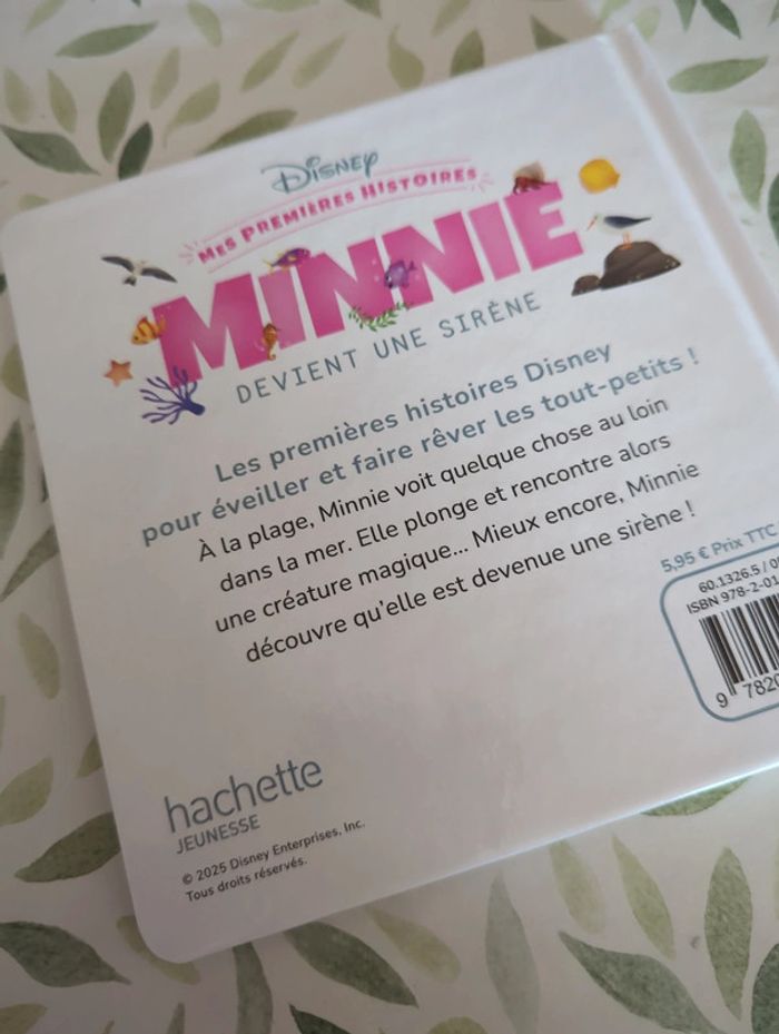Livre Minnie - photo numéro 2
