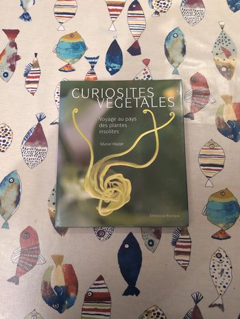 Curiosités végétales