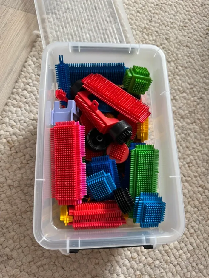 Blocs de construction à picots – Bristle Blocks