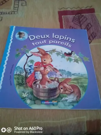 Livre deux lapins tout pareils