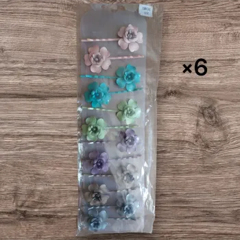 Lot 6 barrettes cheveux neuve sous blister