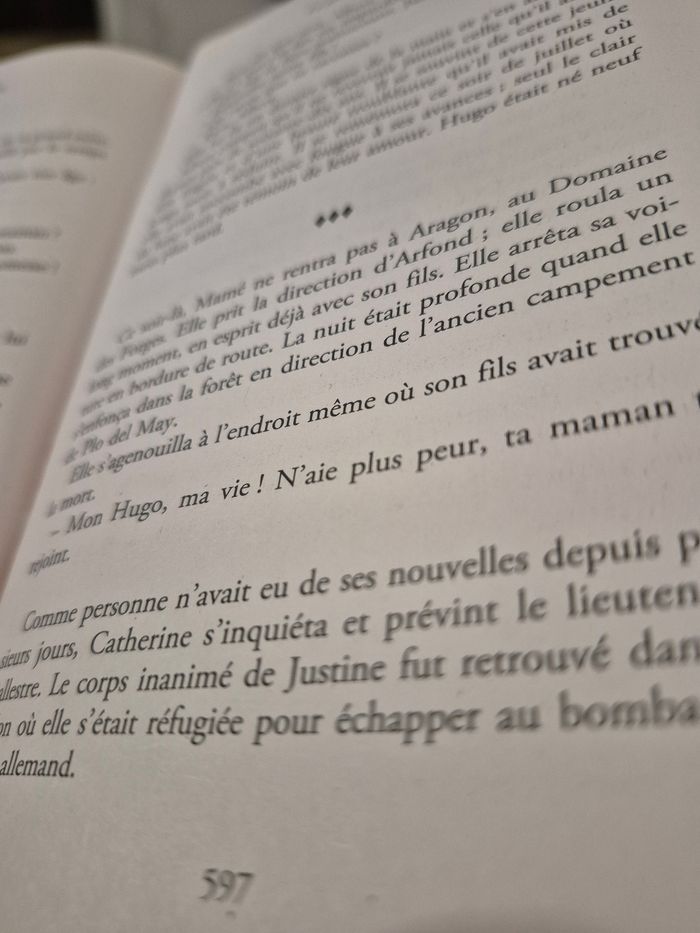 Le secret de la montagne noire (l'intégeale) de Michel Combes - photo numéro 10