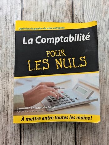 Livre la comptabilité pour les nuls
