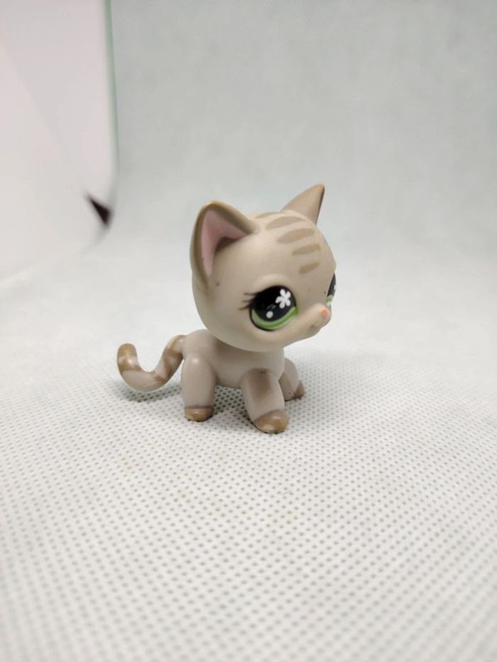 Petshop Littlest petshop chat européen #483 - photo numéro 5