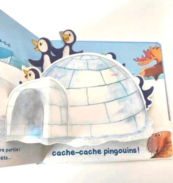 6 € 📚 Livre : Cache-Cache Pingouins - photo numéro 3