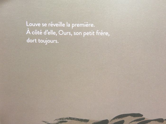 Album jeunesse 3-6 ans : Le feu (Pénélope Jossen - L'école des loisirs) - photo numéro 5