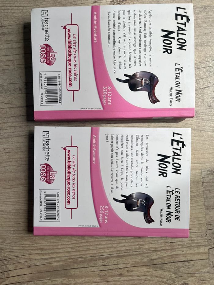Lot de 2 tome de L’étalon noir - photo numéro 2