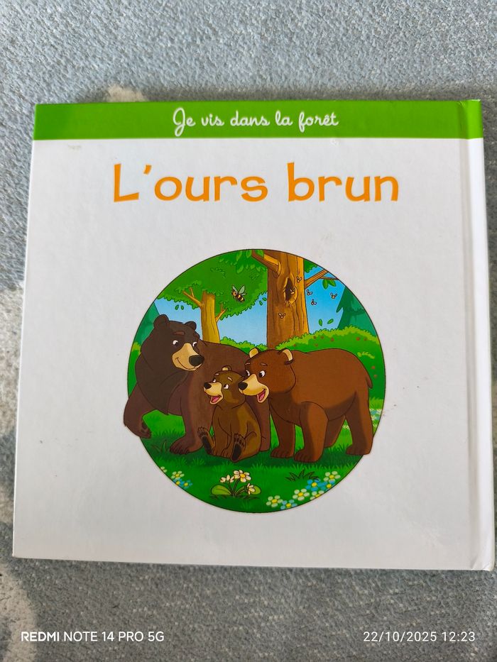 L'ours brun - photo numéro 2