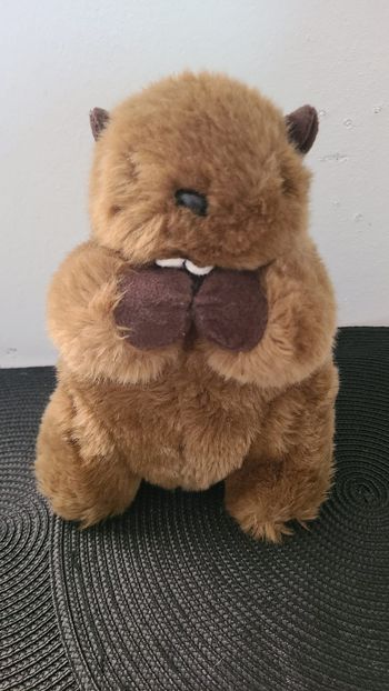 Peluche musicale marmotte RODA marron 21 cm