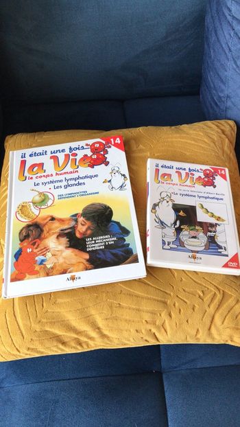 Collection il était une fois la vie le corps humain