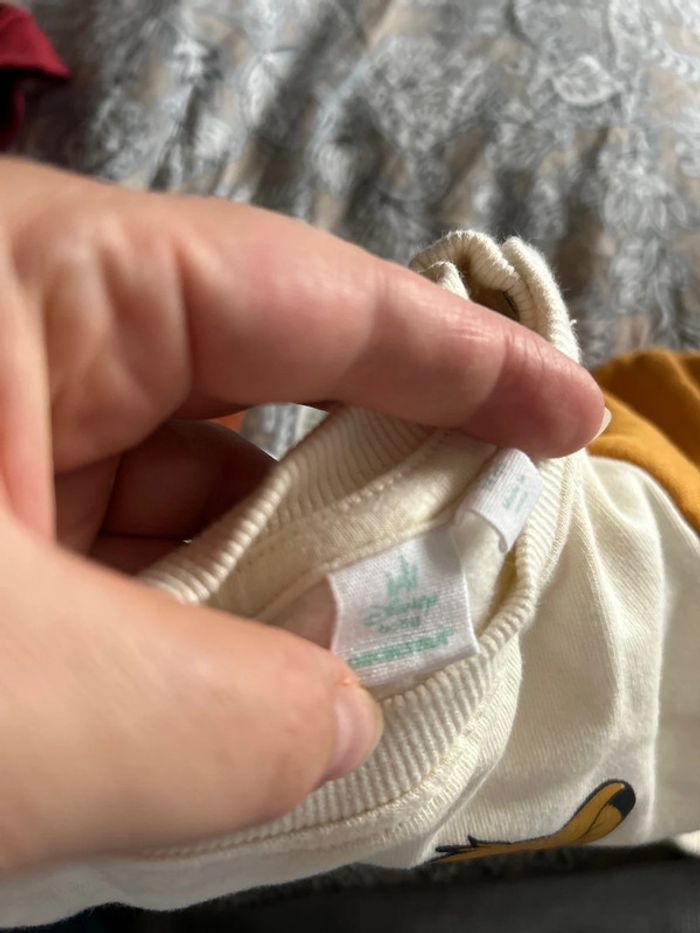 Pull Simba - photo numéro 4