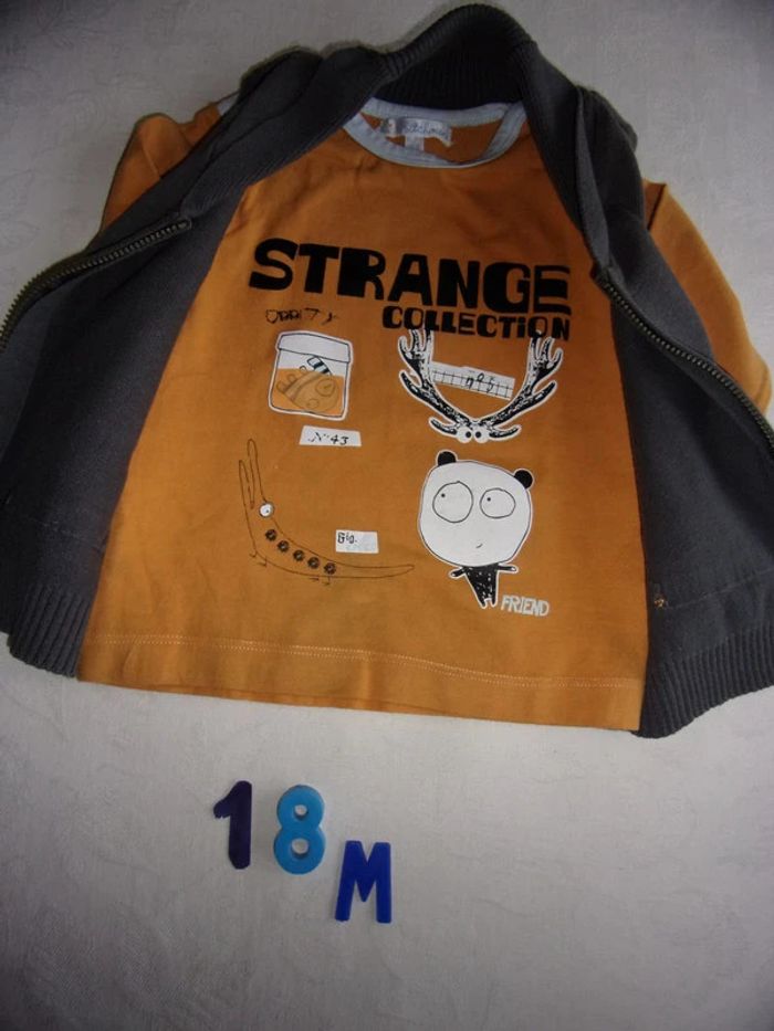 Lot T.Shirt + gilet + pantalon + Blouson garçon 18 mois - photo numéro 4