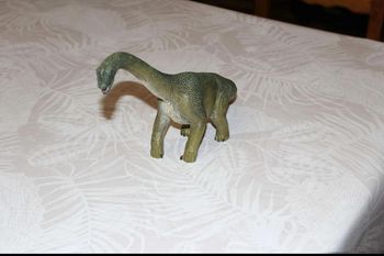 dinosaure  brachiosaurus