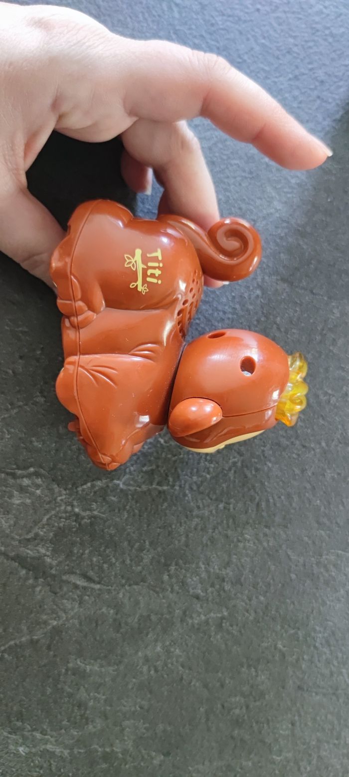 Tut tut animo singe - photo numéro 3