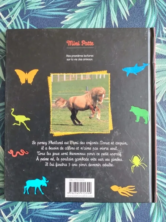 Livre enfant animaux, Le poney, tendre coquin - photo numéro 3