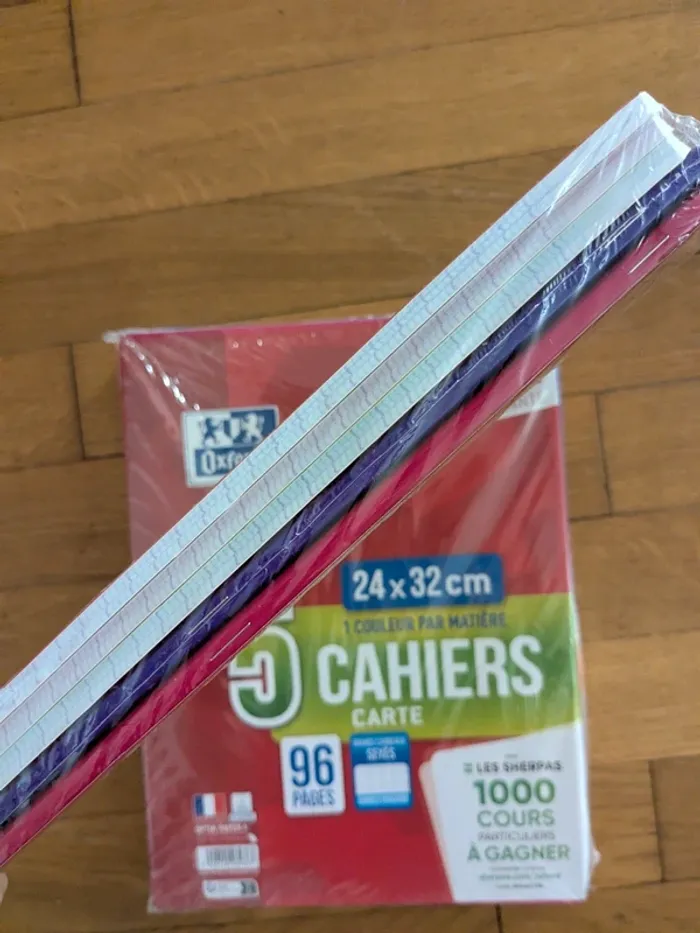 1 (ou +) lot de 5 Cahiers oxford 24x32 96 pages - photo numéro 4