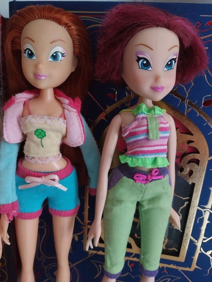 4 Poupées Flora Tecna et Bloom Love and Pet + Stella City Girl Fashion and Magic Winx Club saison 4 Smoby - photo numéro 5