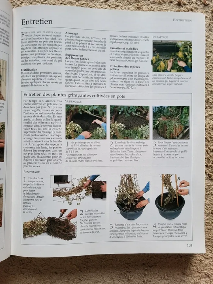 Encyclopédie pratique du jardinage - photo numéro 9