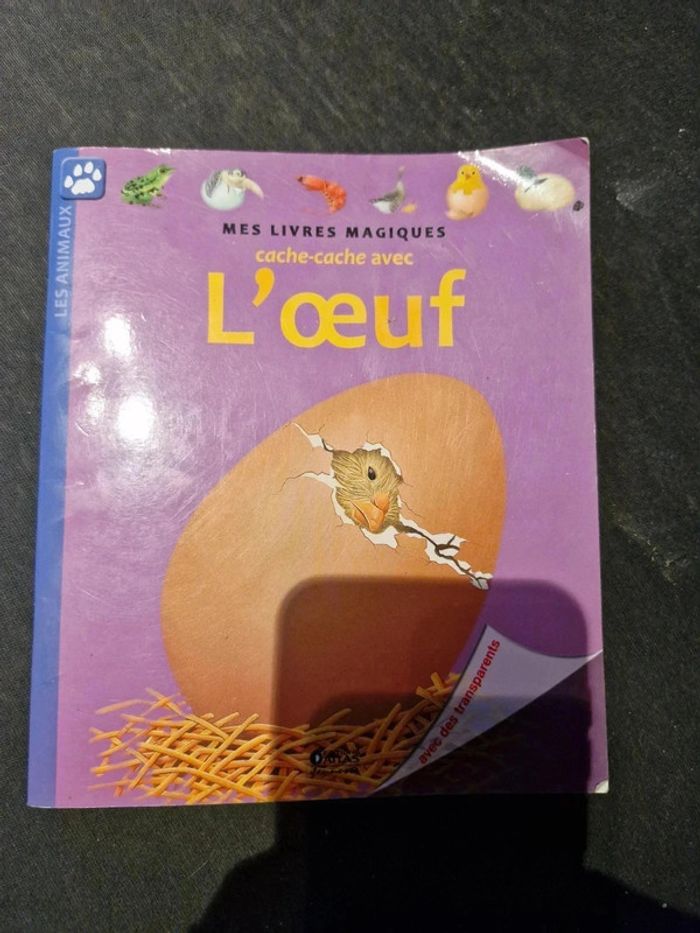 Livre magique cache cache - photo numéro 4