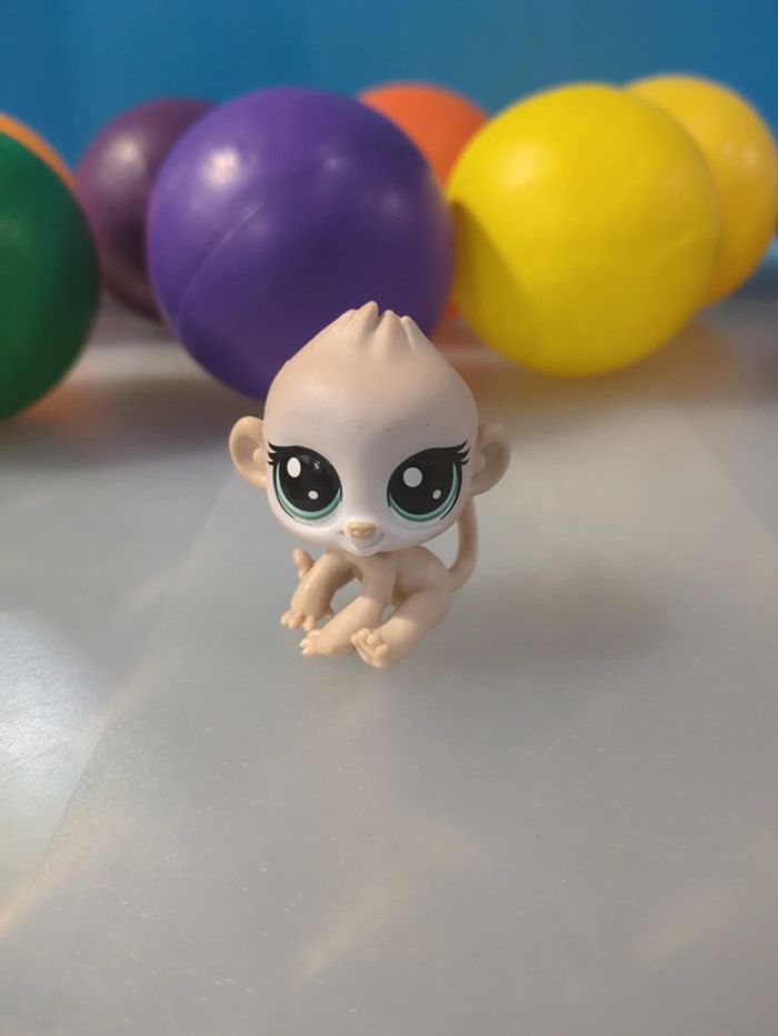 littlest Petshop Singe