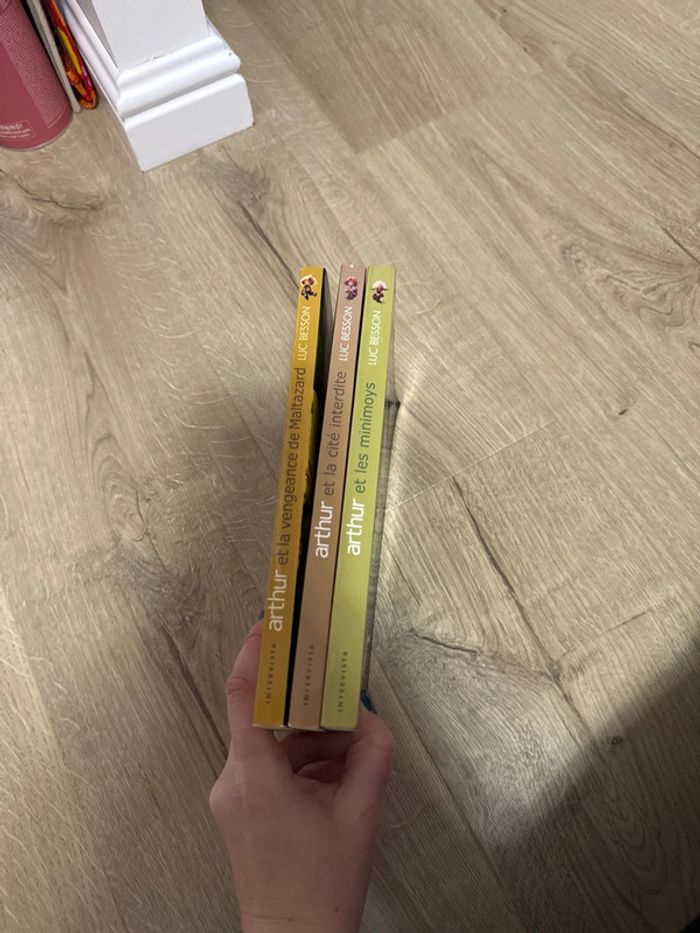 Lot des 3 tommes de Luc besson Arthur - photo numéro 6
