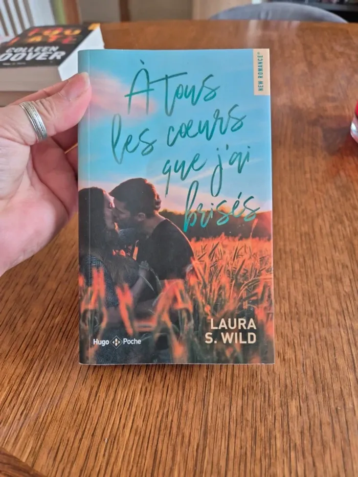 a tous les coeurs que j'ai brisés de Laura S Wilde - photo numéro 1